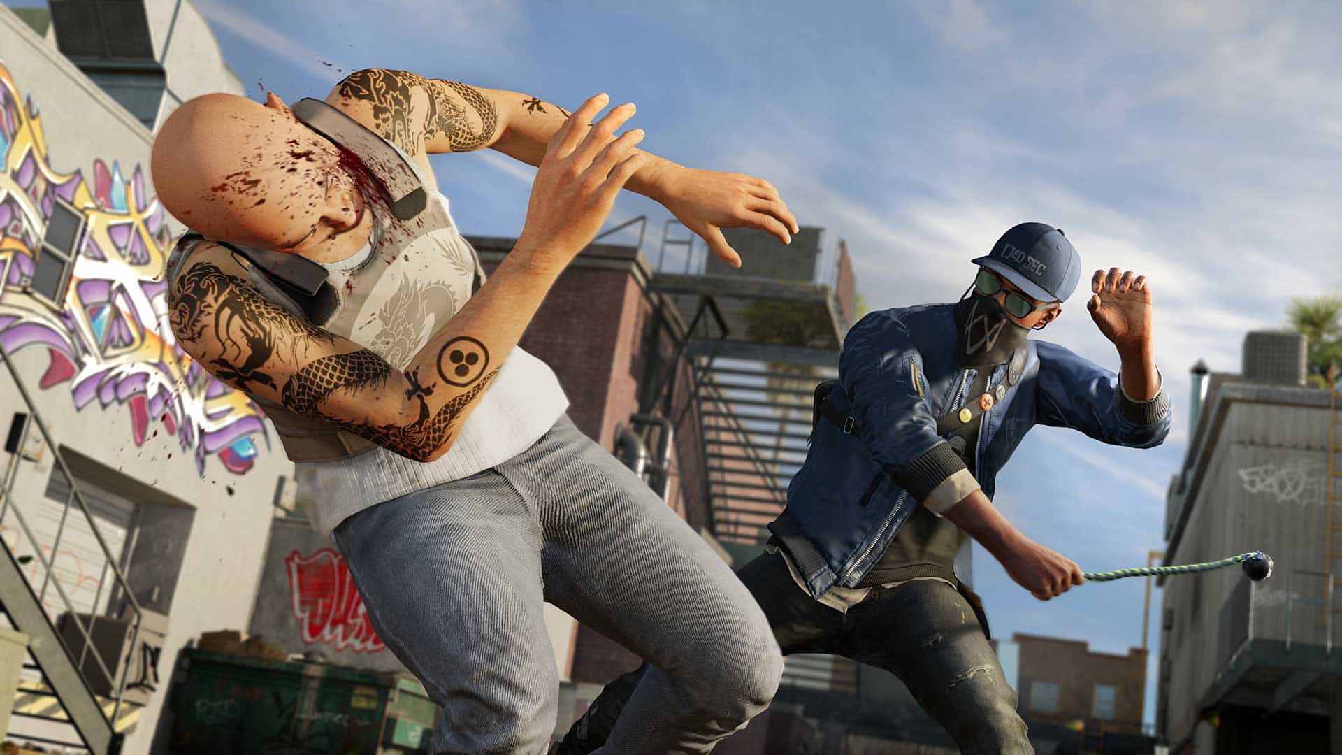 Wd22.jpg