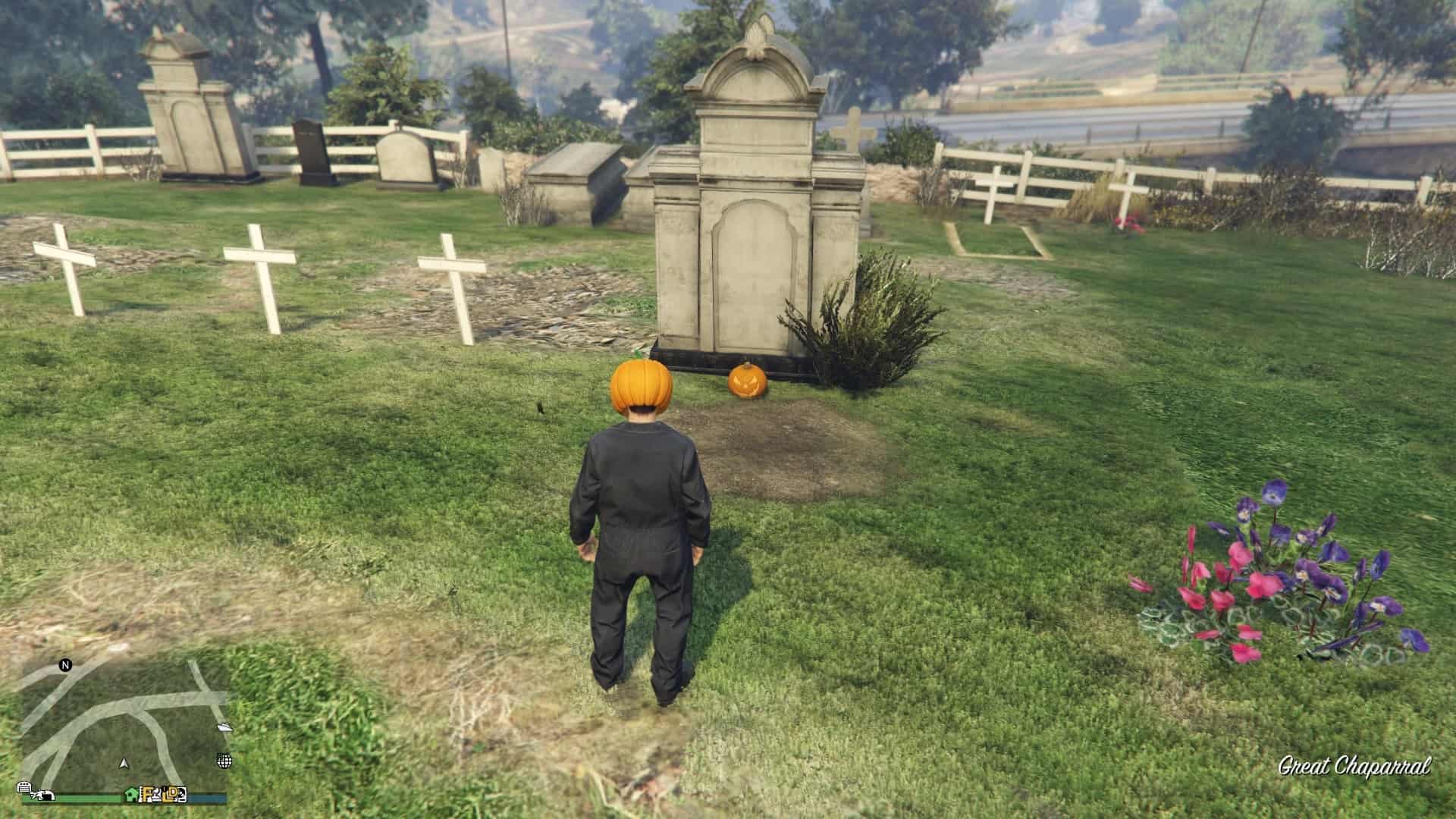 Pumpkin-Location-146-Visual.jpg