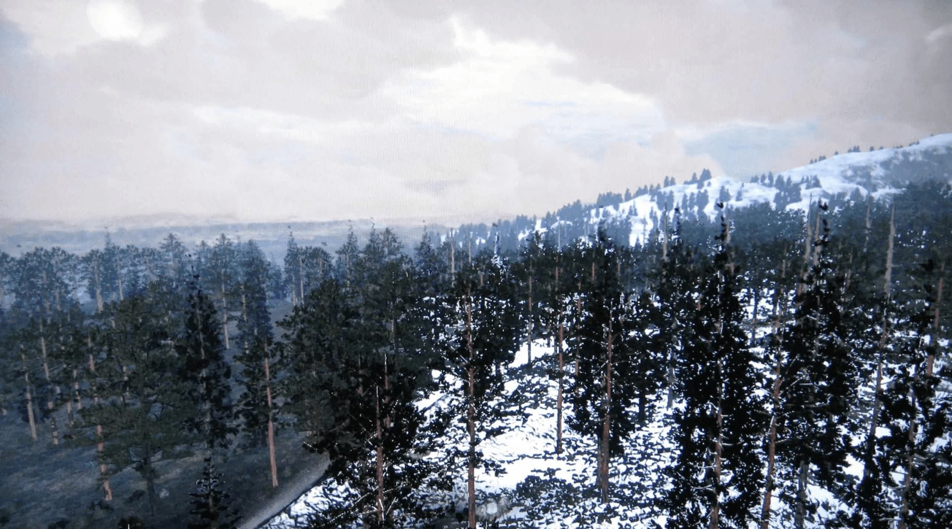 Tall Trees region as seen in Red Dead Redemption