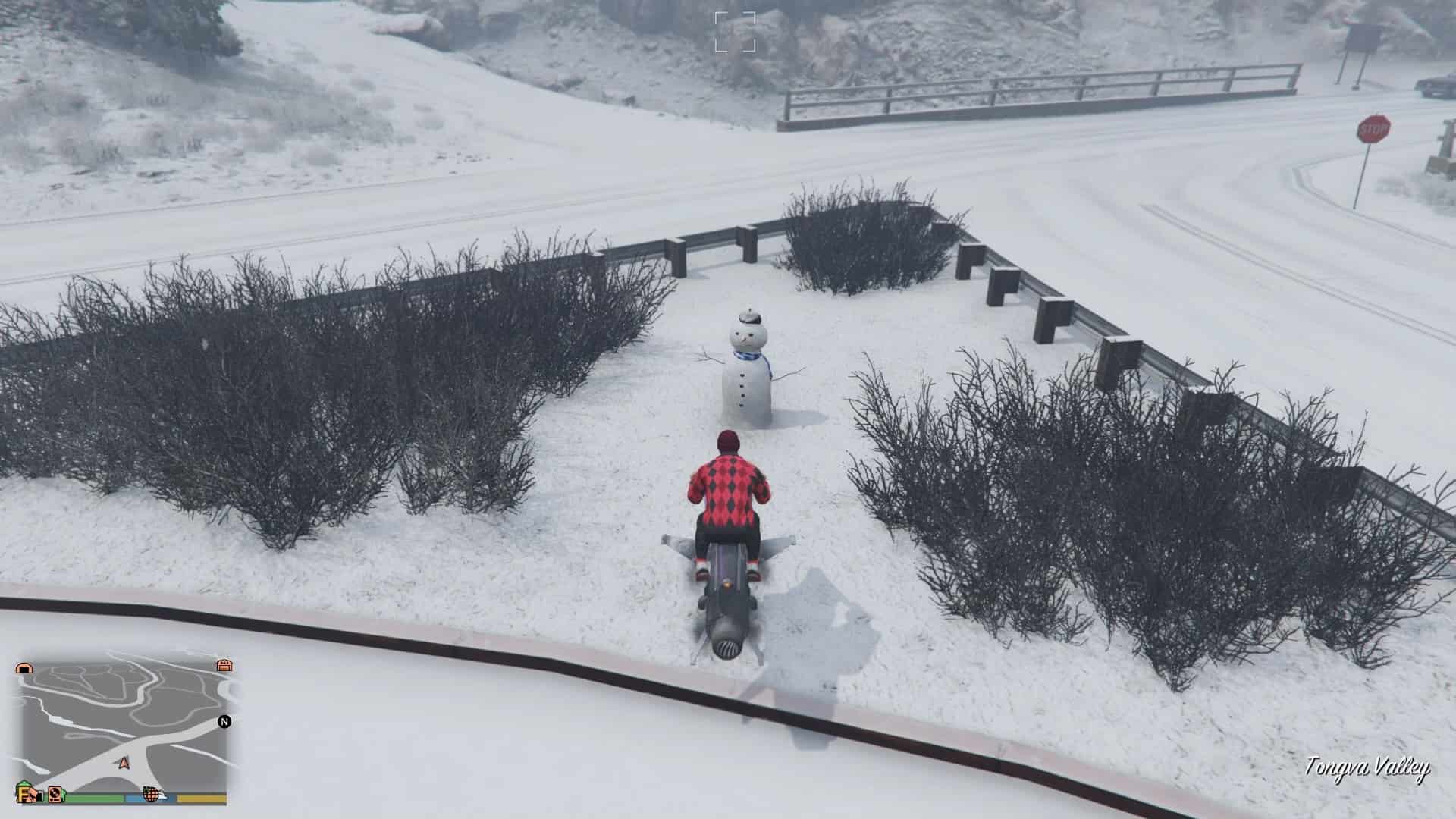 Snowman-Location-Visual-14.jpg