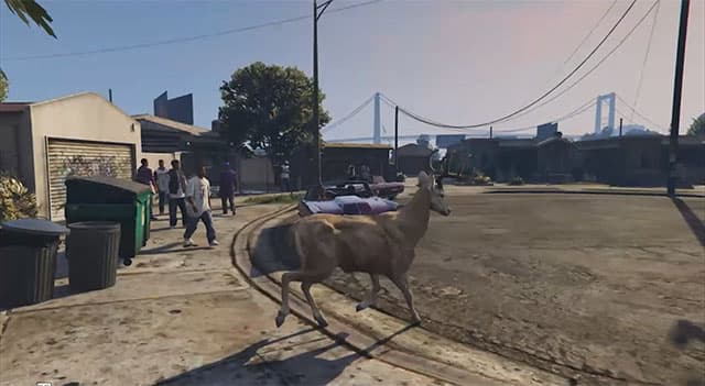 Deer2.jpg