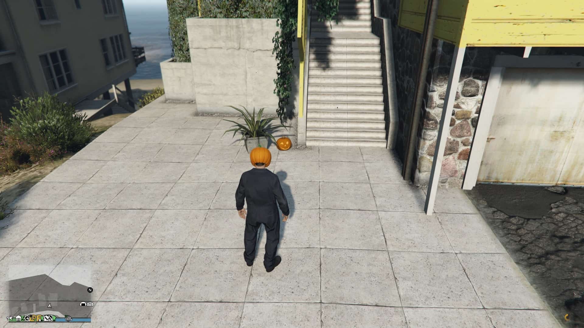 Pumpkin-Location-141-Visual.jpg