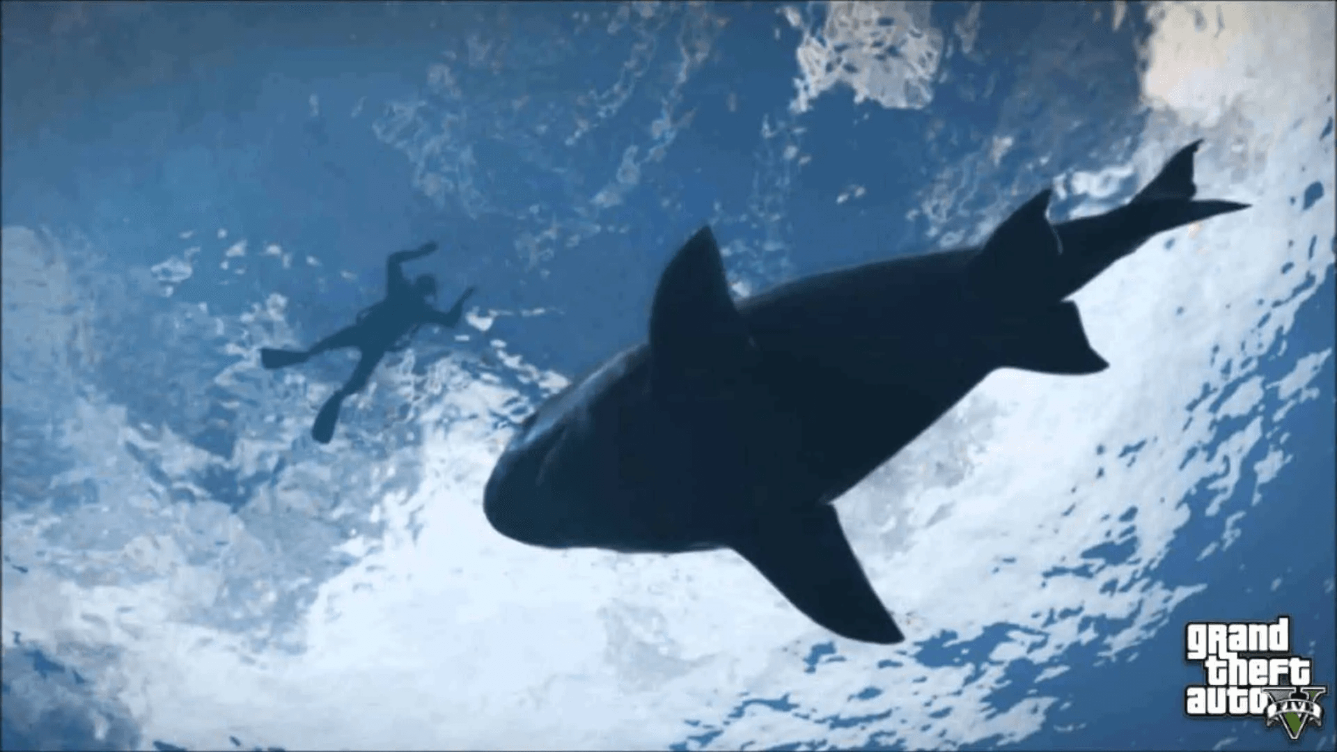 Gta-v-shark.jpg