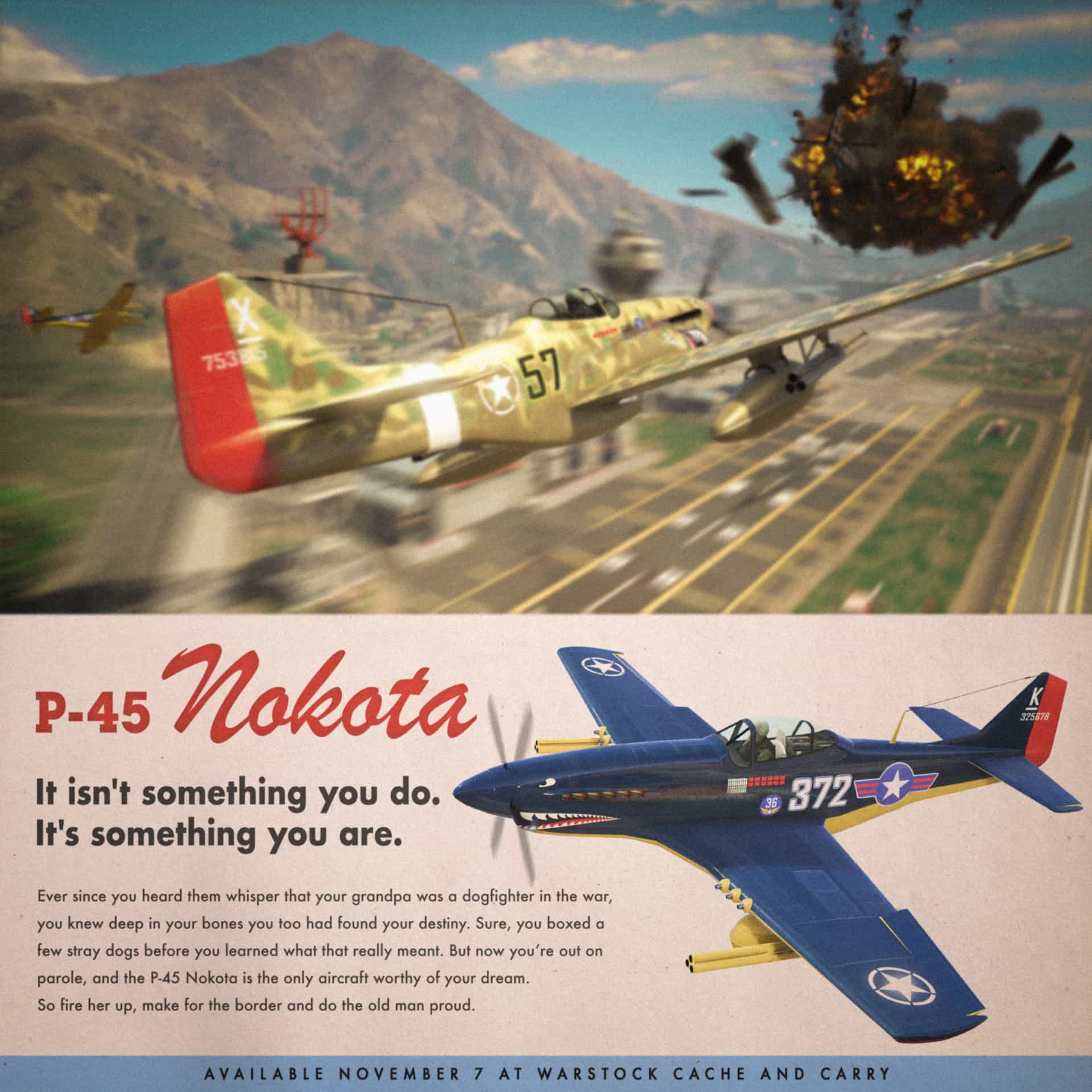 Nokota.jpg