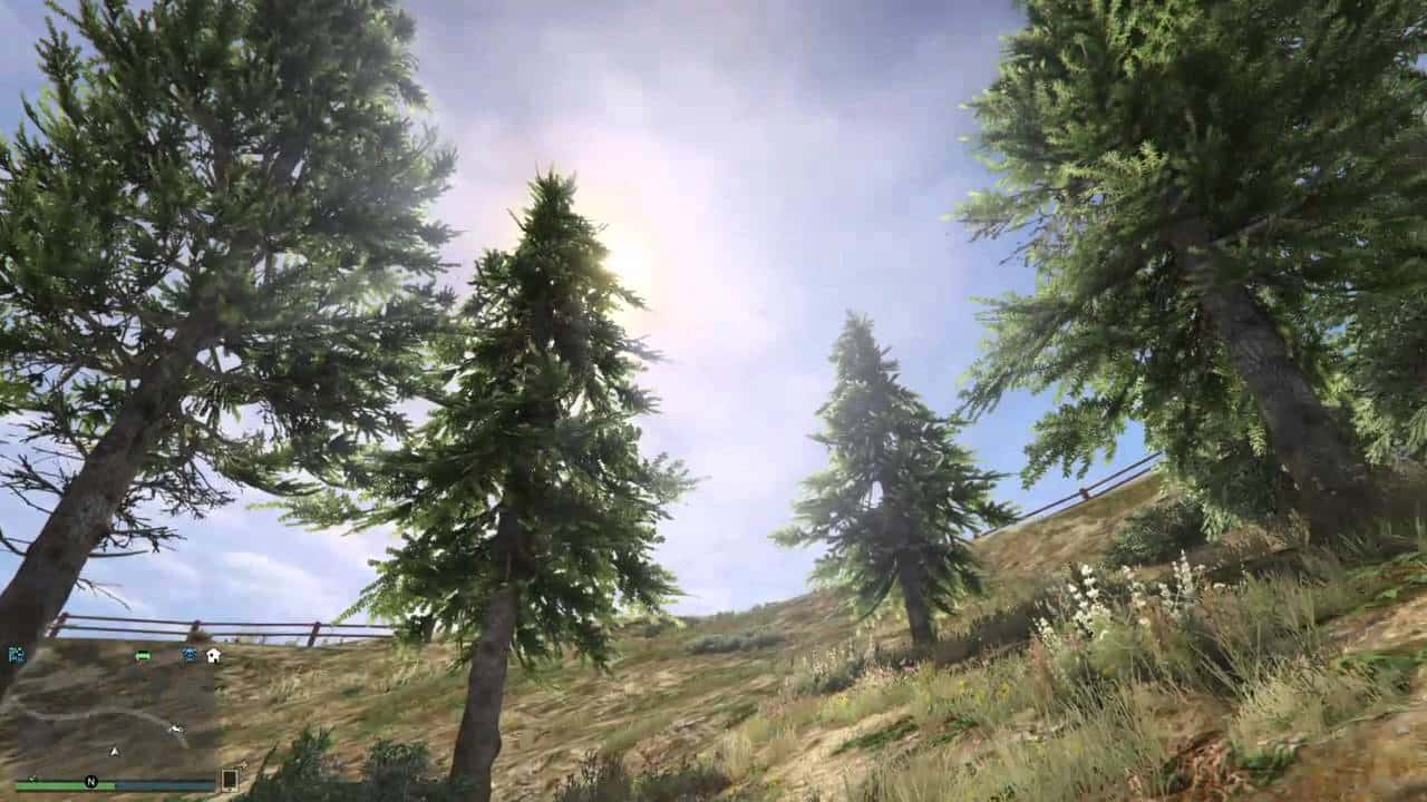 2017_01_tree.jpg