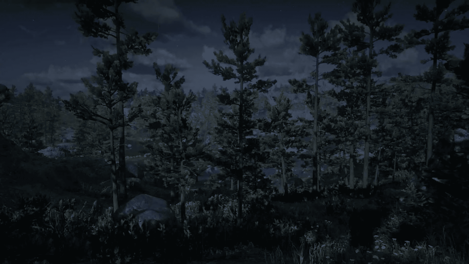 Grizzlies East in Red Dead Redemption 2