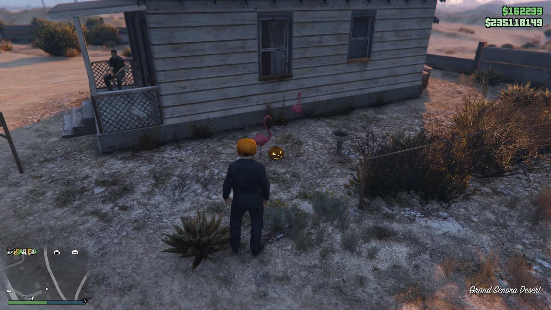 Pumpkin-Location-177-Visual.jpg