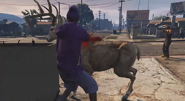 Deer4.jpg