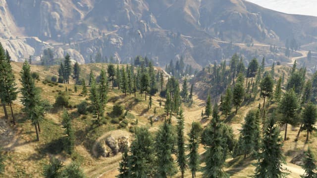Tree4.jpg