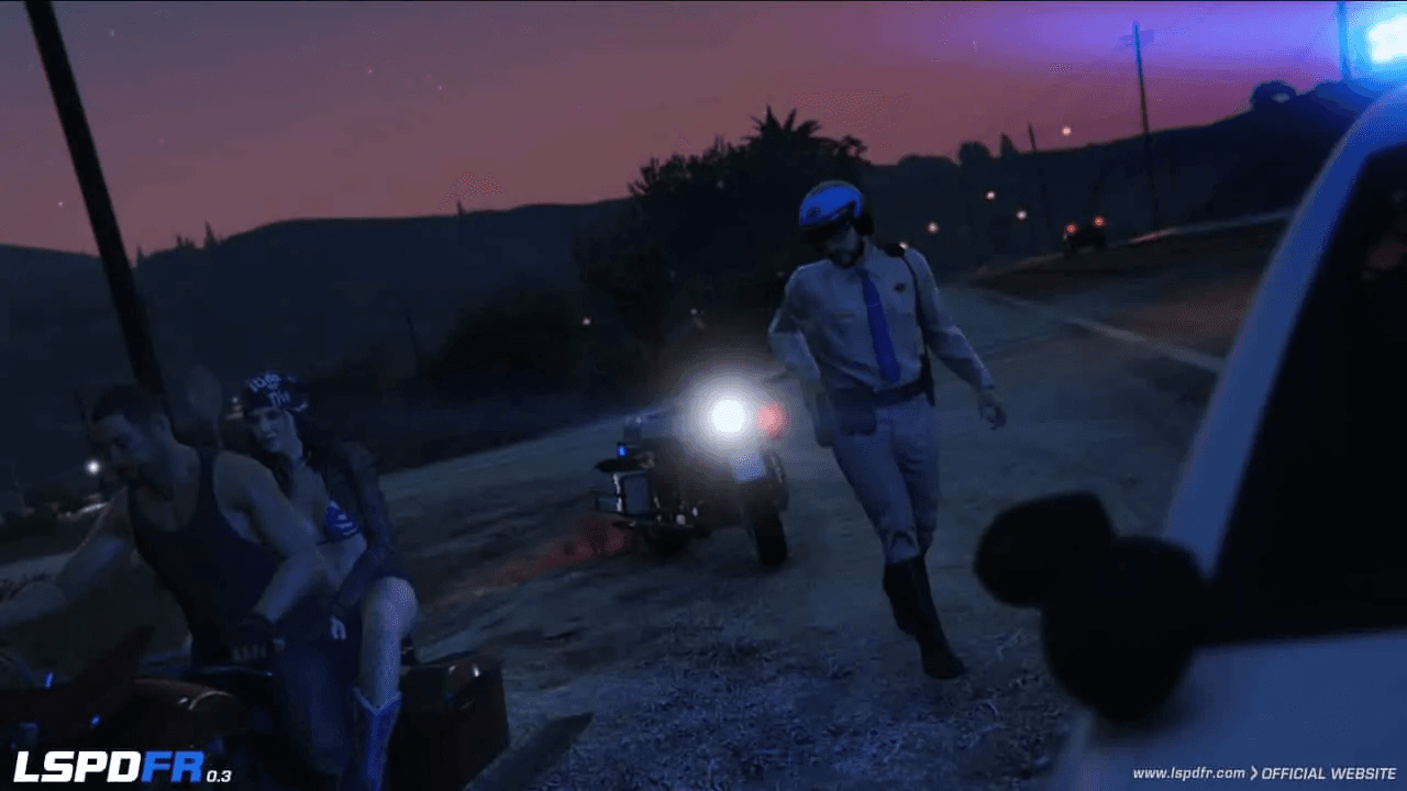 2015_11_lspdfr3.jpg