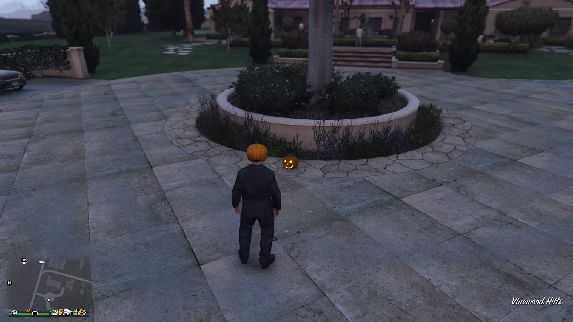 Pumpkin-Location-151-Visual.jpg