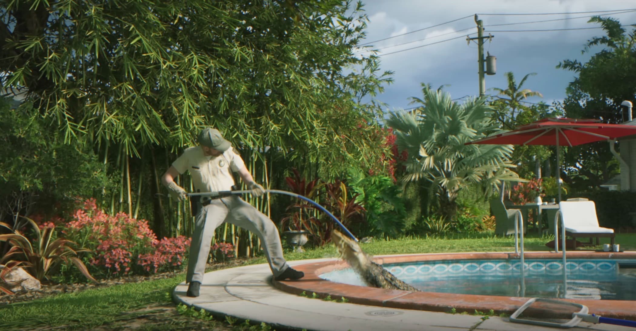 Animal control removing an alligator from a residential pool.
