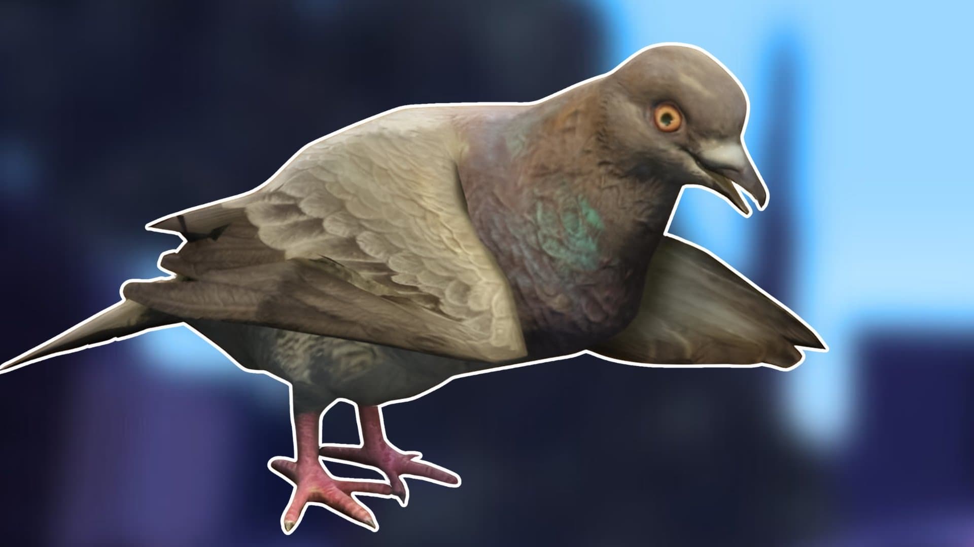Pigeon-Article-Featured.jpg