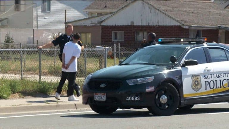 Slc_pd.jpg