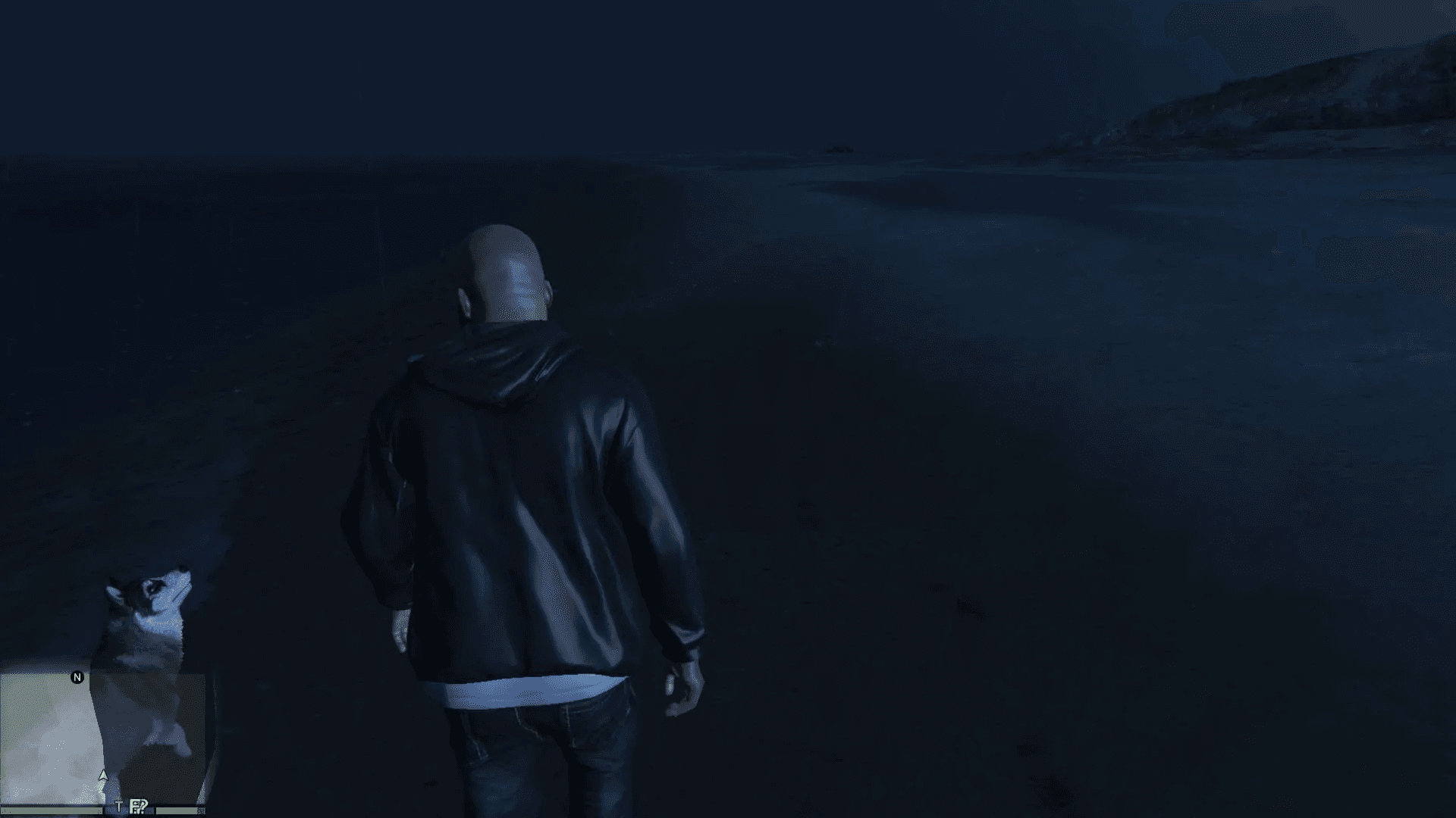 Study: The Secret Lives Of Gta V's Dogs