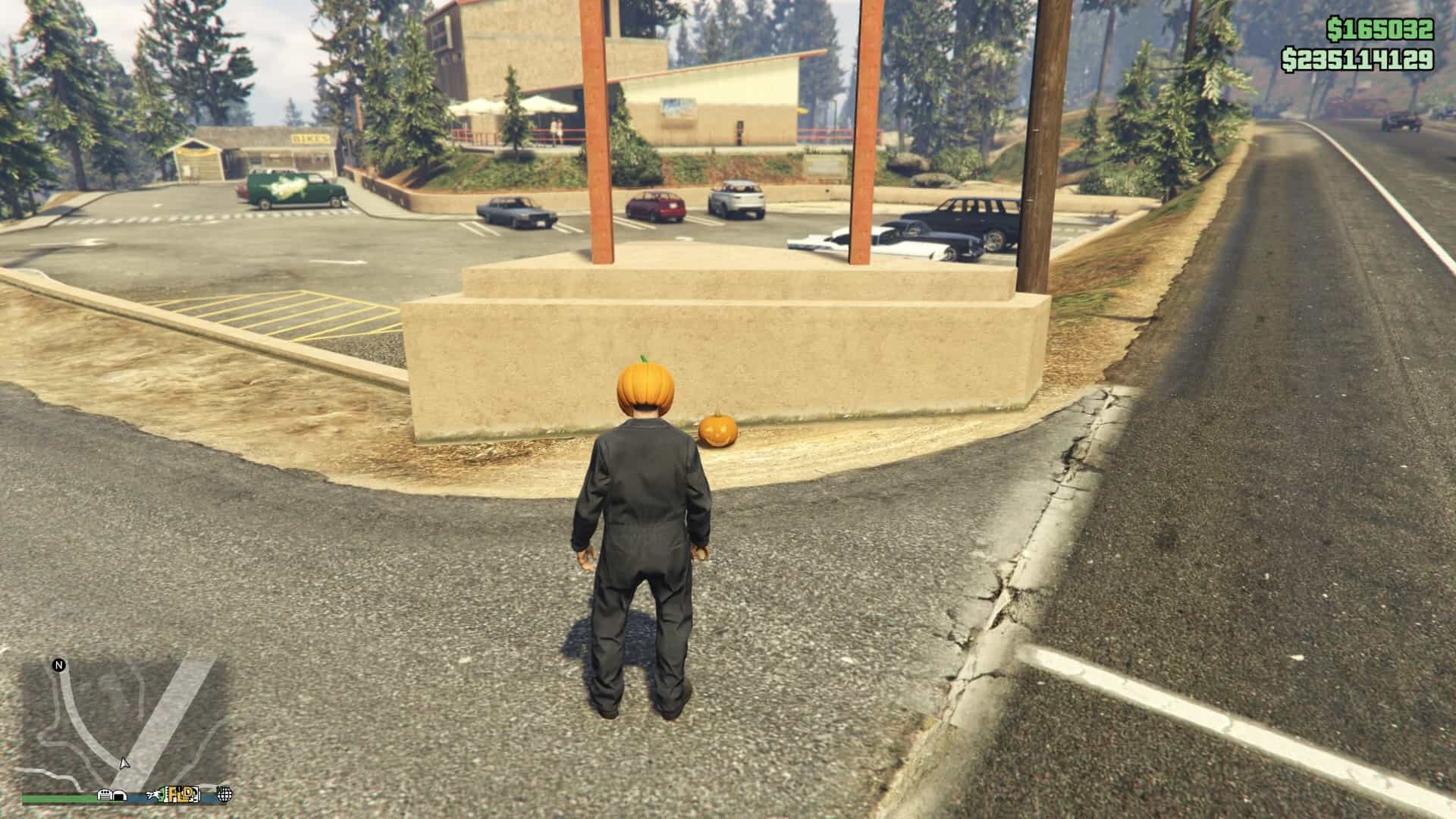 Pumpkin-Location-199-Visual.jpg