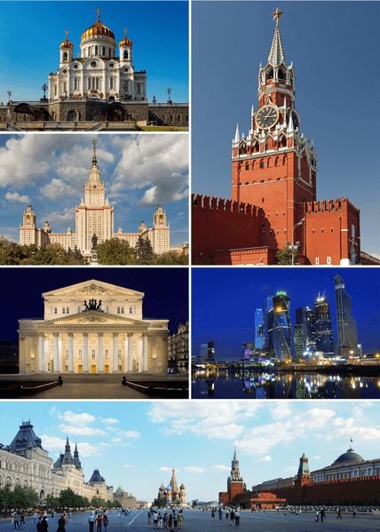 MSK_Collage_2015.png