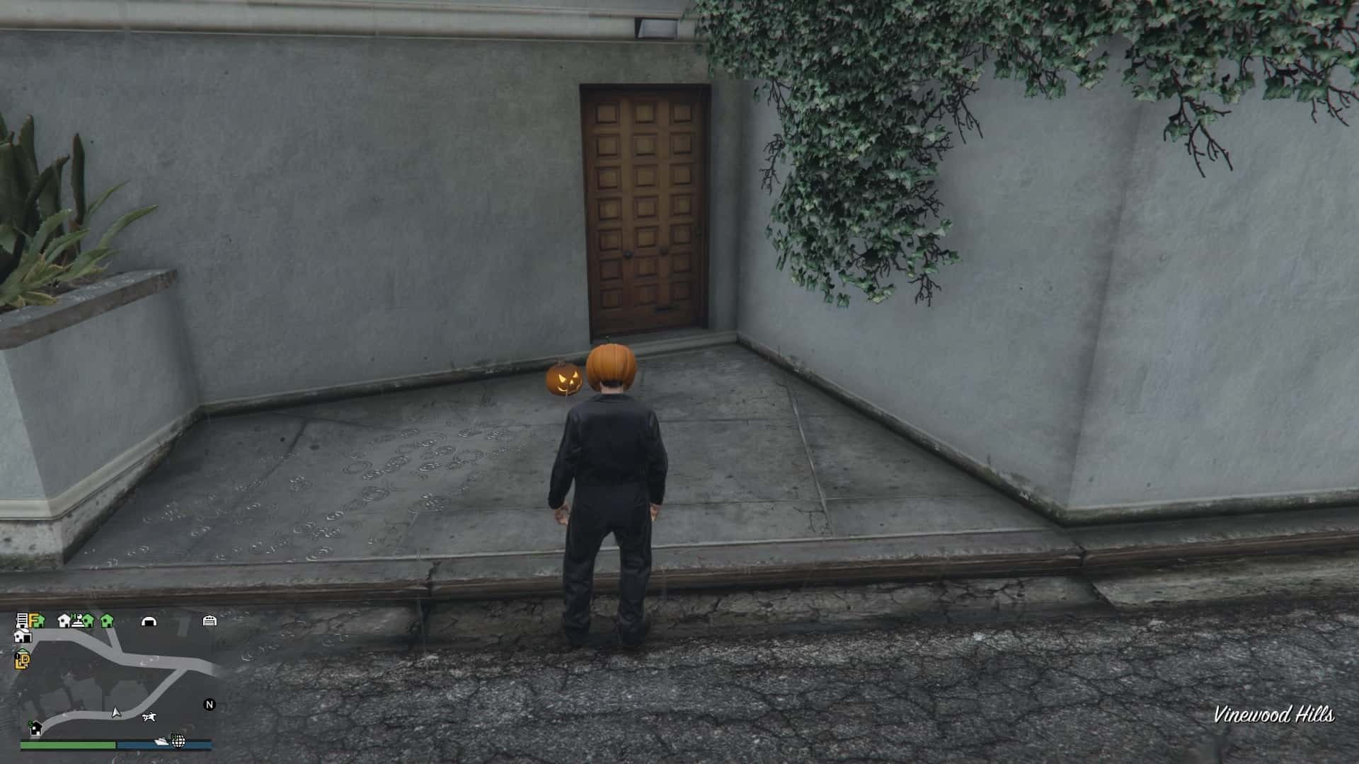 Pumpkin-Location-97-Visual.jpg