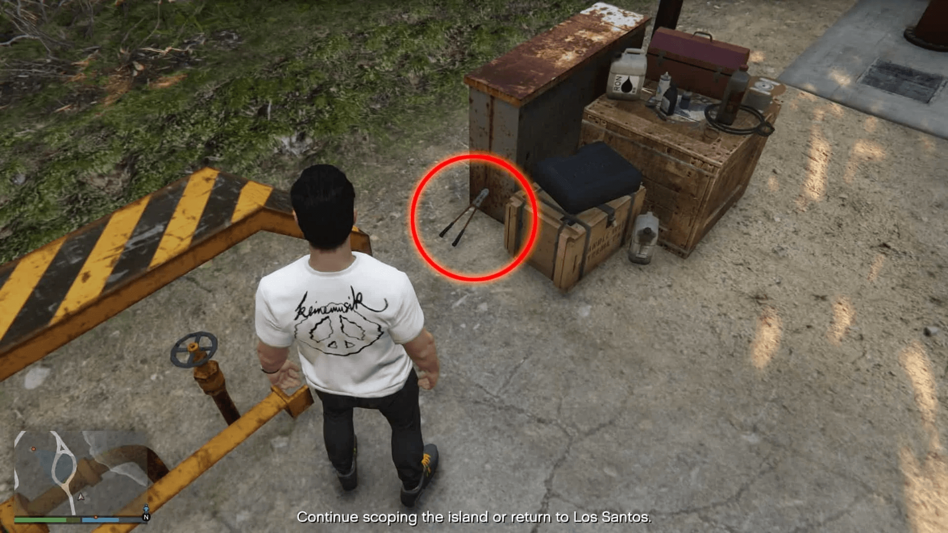 Bolt-Cutters-14-Visual.jpg