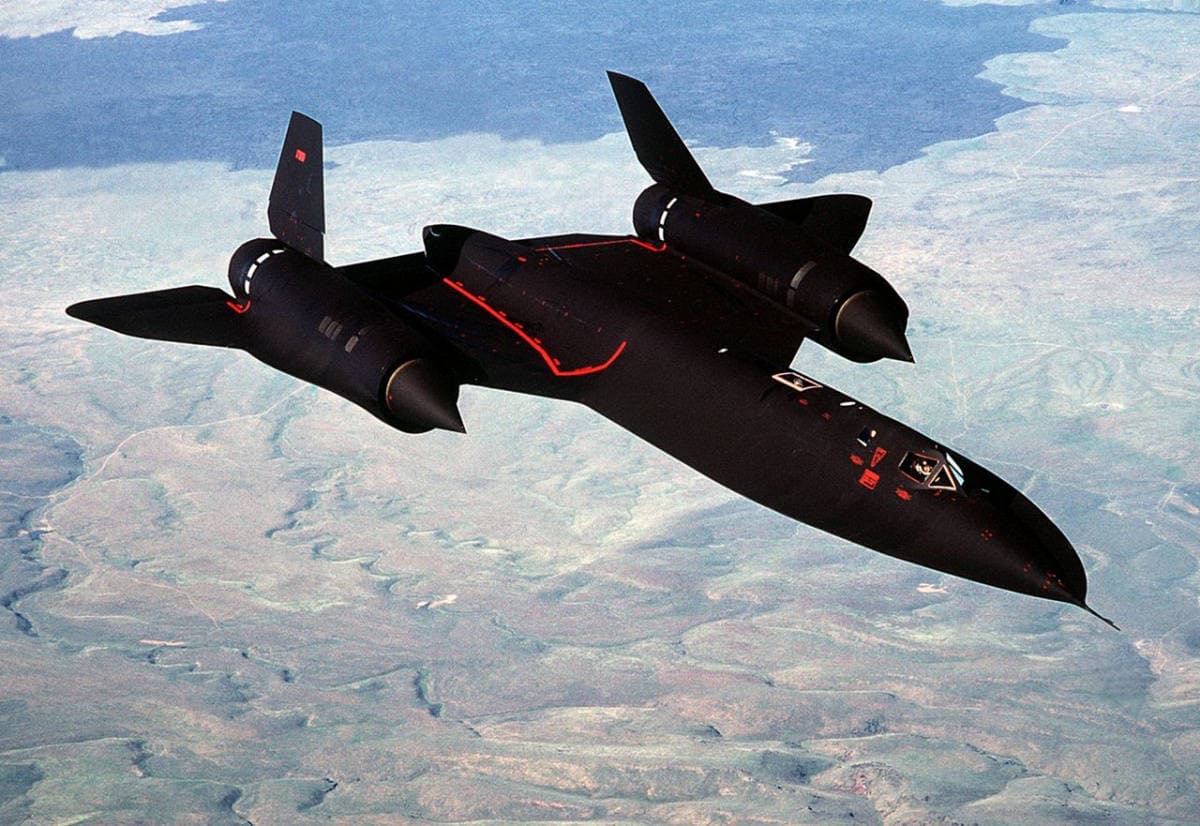 Blackbird.jpeg