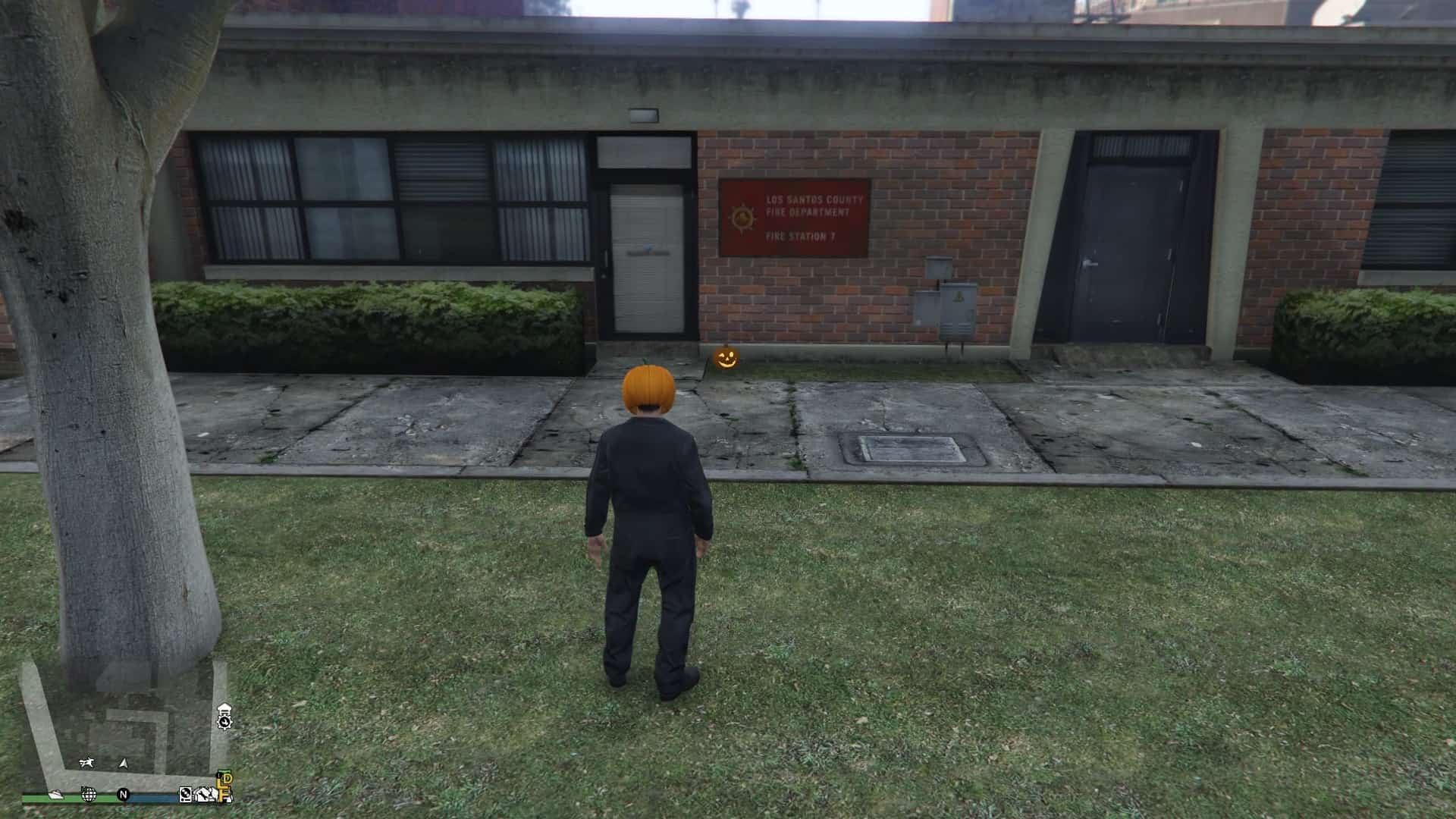 Pumpkin-Location-20-Visual.jpg