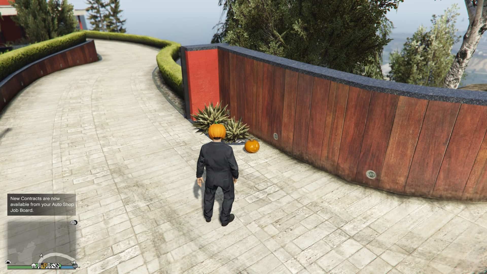 Pumpkin-Location-142-Visual.jpg
