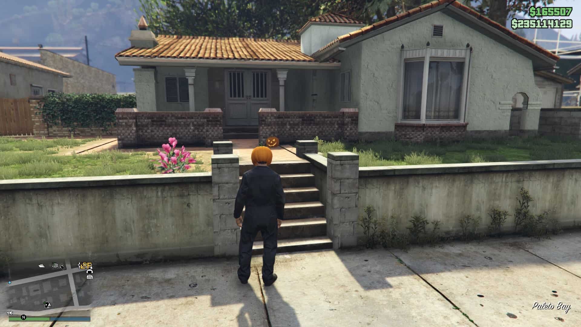 Pumpkin-Location-196-Visual.jpg