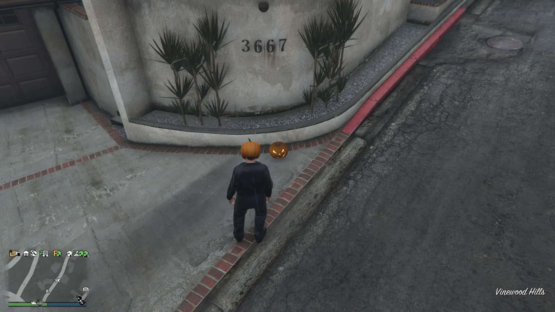 Pumpkin-Location-98-Visual.jpg