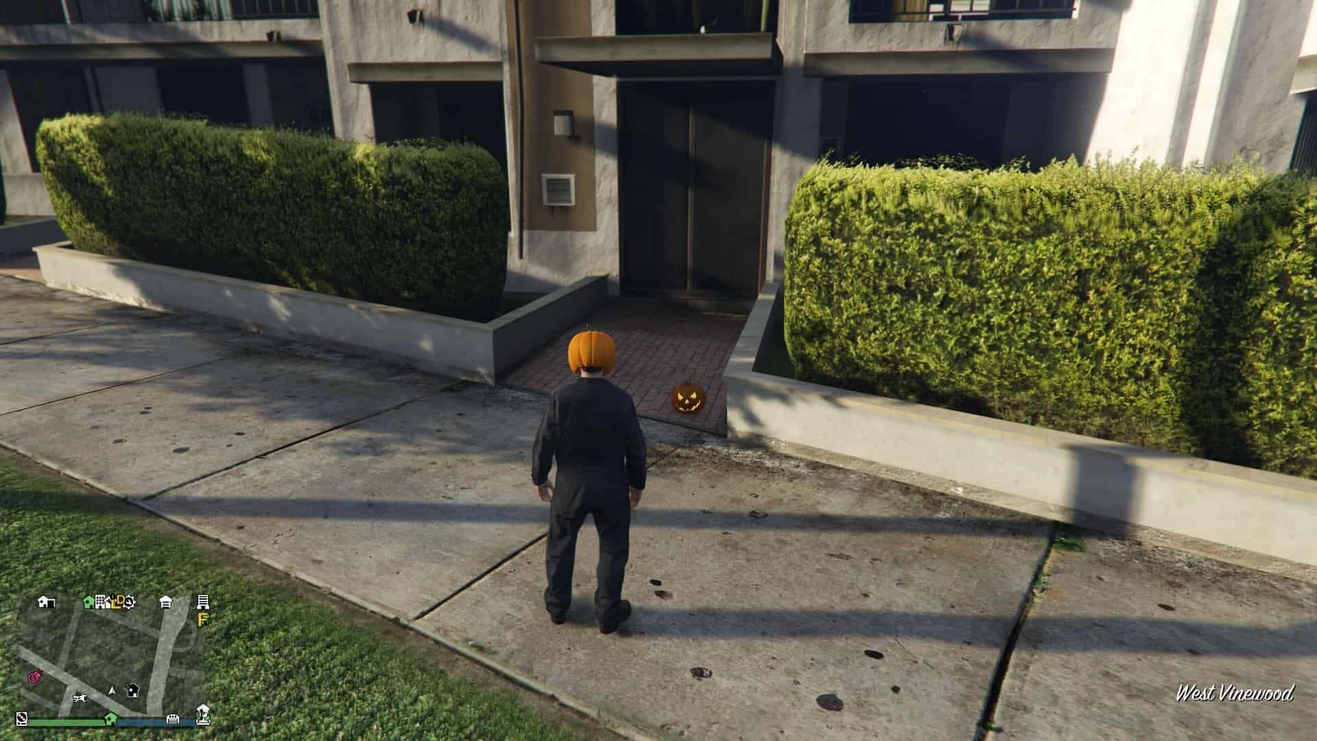 Pumpkin-Location-91-Visual.jpg