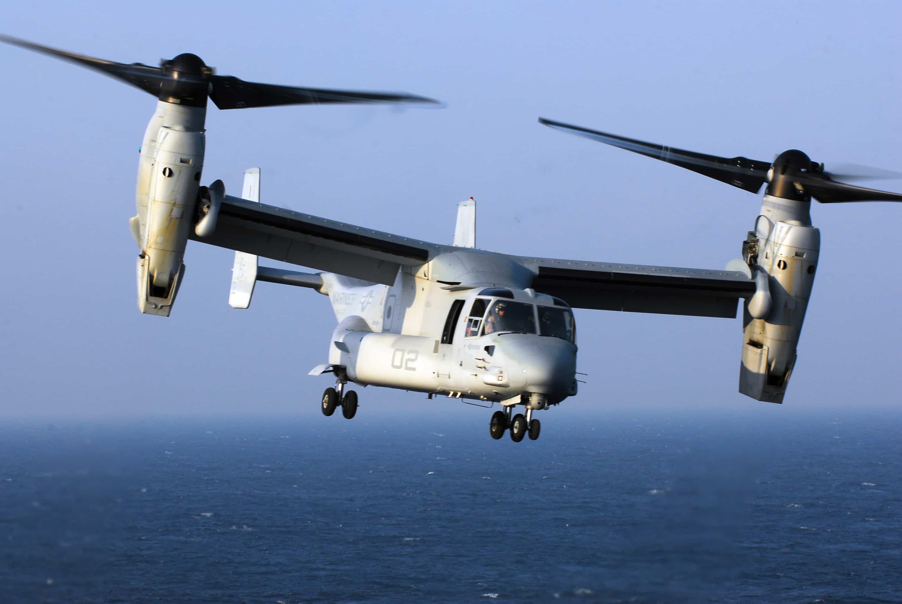 Osprey.jpg