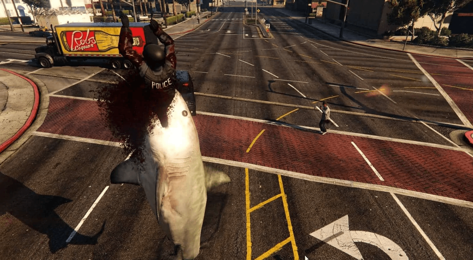 Shark.jpg