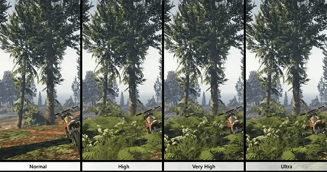 Graphics3.jpg