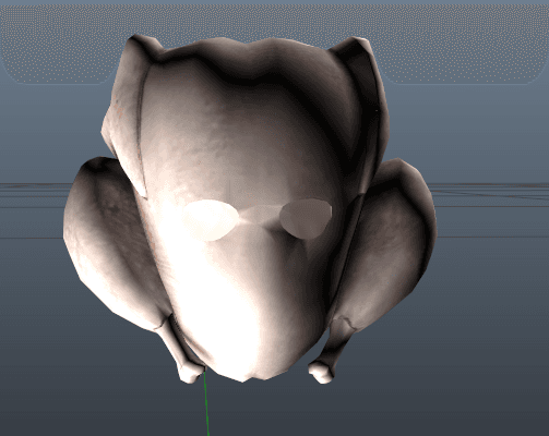 Leak4.png
