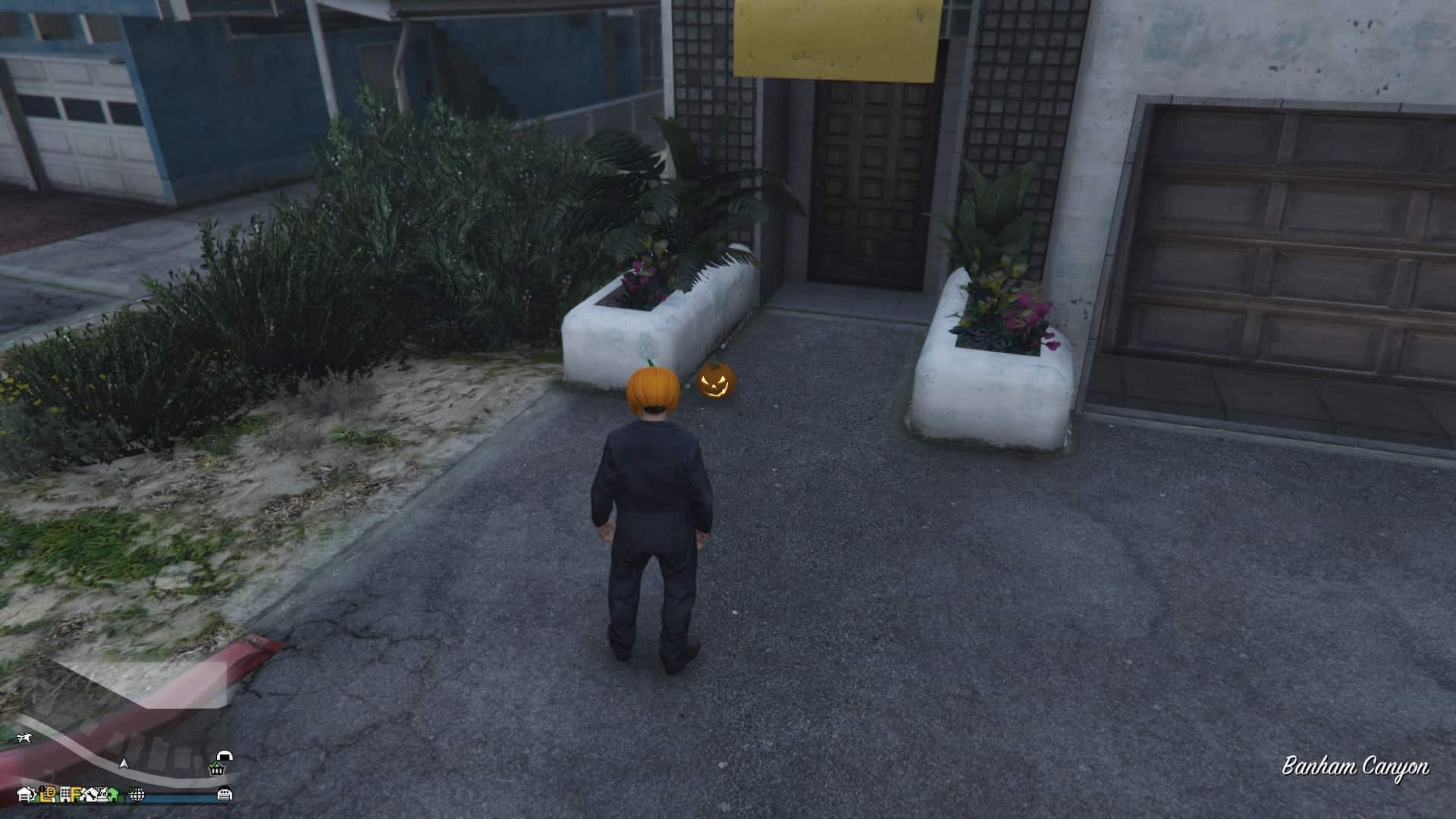 Pumpkin-Location-137-Visual.jpg