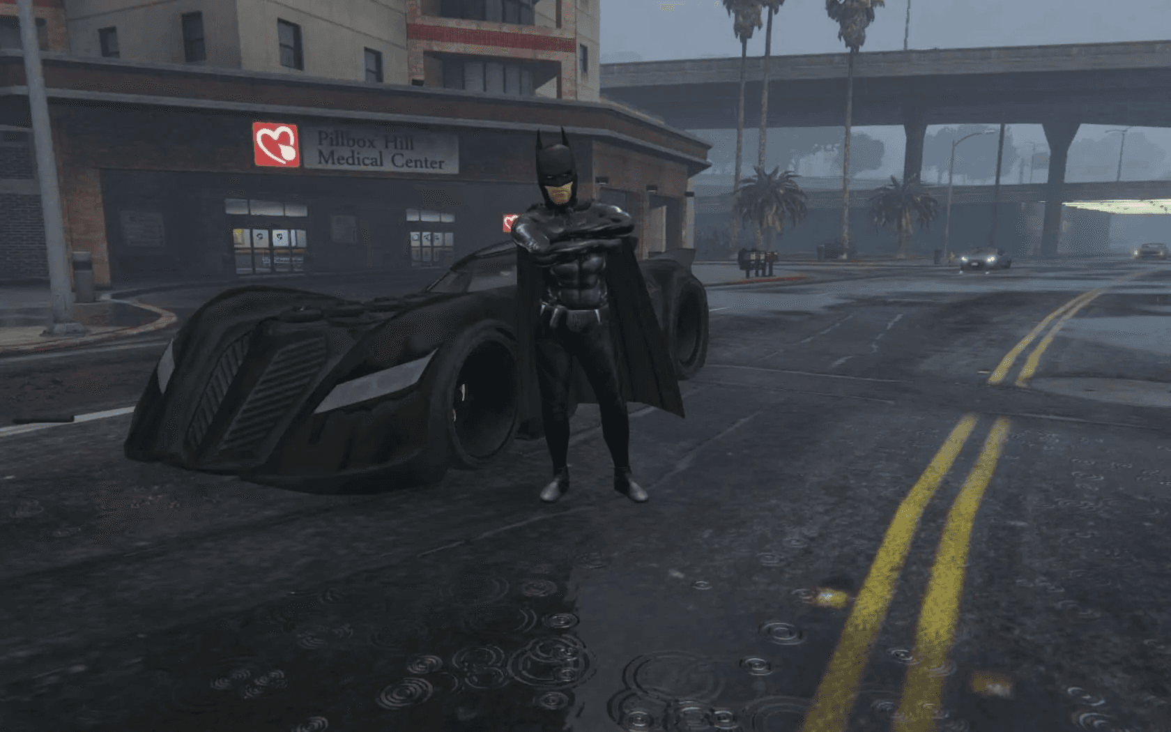 Bat3.jpg
