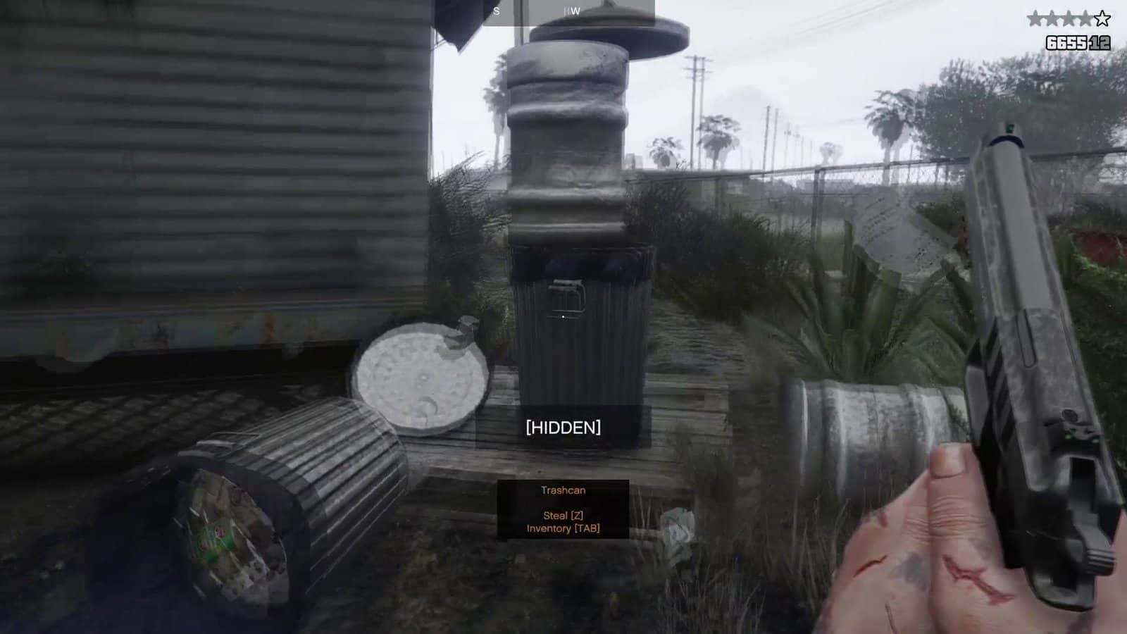 Fo3.jpg