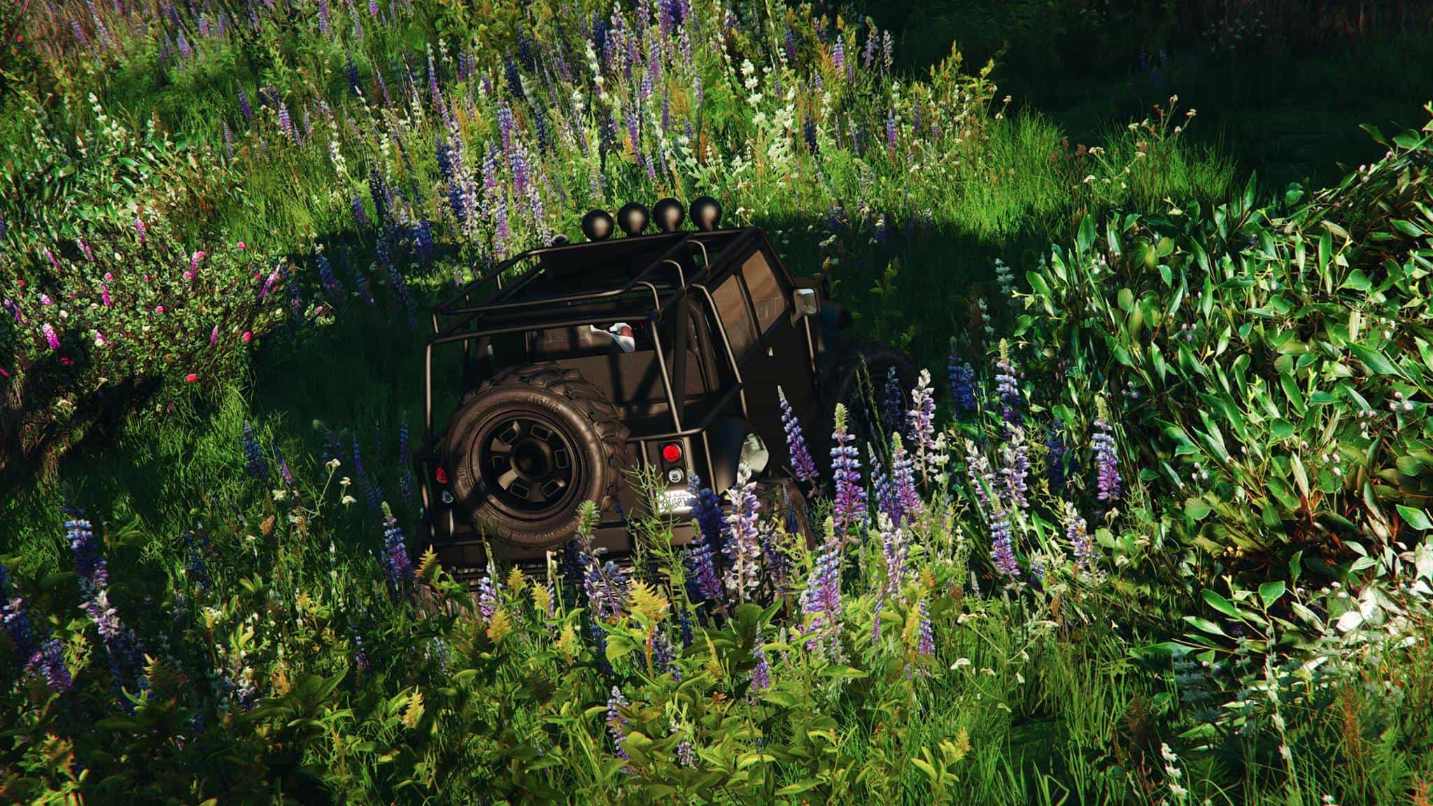 Bigfoot.jpg