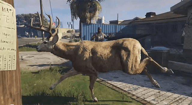 GTA V Meets... Wildlife Observation?
