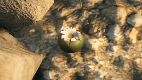 GTA 5 Peyote Plants Locations Guide