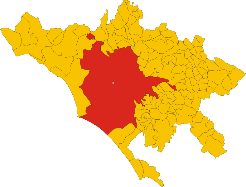 Map_of_comune_of_Rome_metropolitan_city_of_Capital_Rome_region_Lazio_Italy.svg_.png