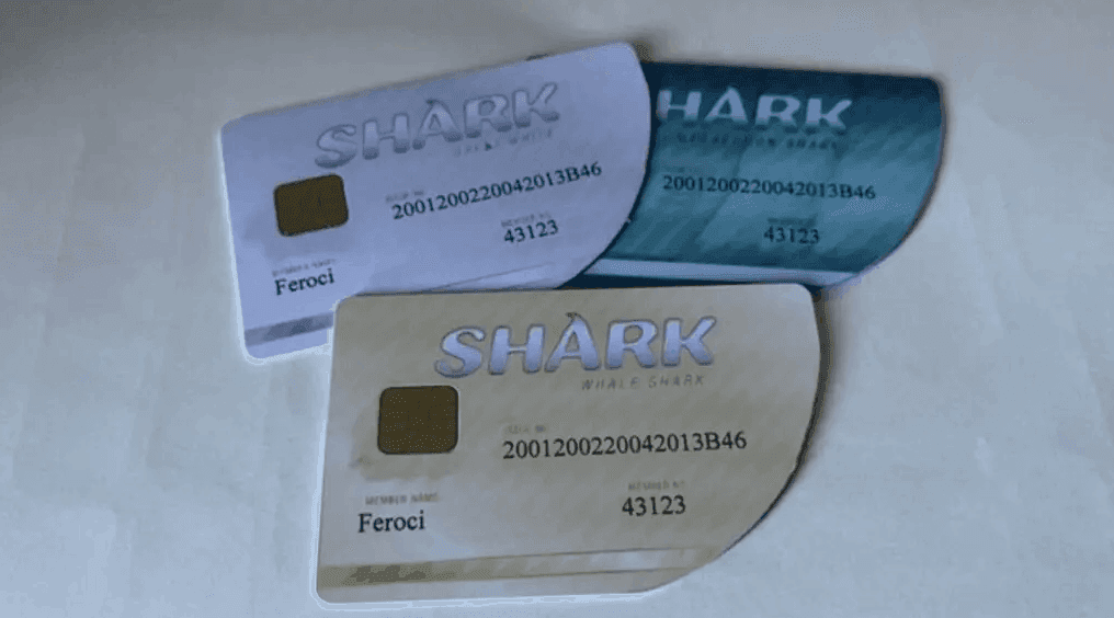 Customshark.png